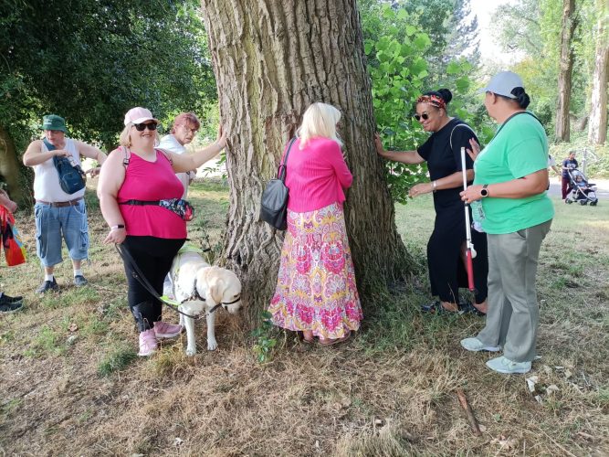 A group, plus a guide dog, stand around the tree, feel the rough bark of a tree